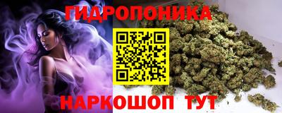 ГАЛЛЮЦИНОГЕННЫЕ ГРИБЫ Можга
