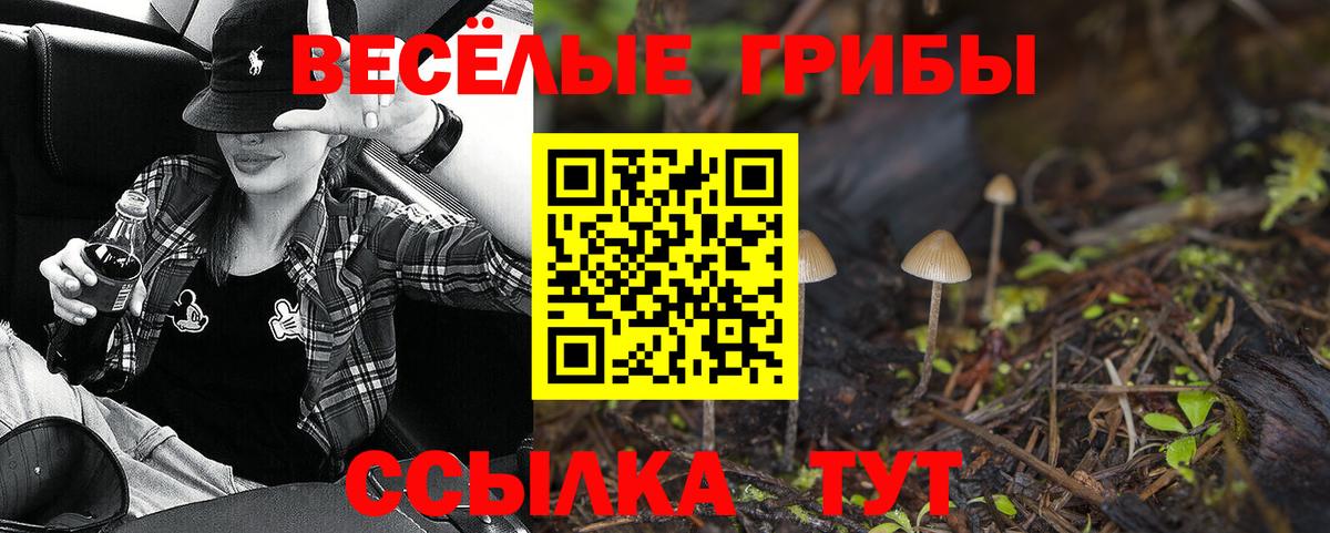 Псилоцибиновые грибы мицелий Тара