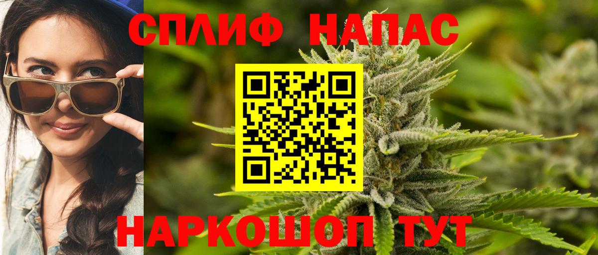 Марихуана индика  Бошки Шишки семена  Тара  Конопля семена  Вход с VPN 
