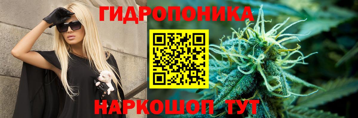 МАРИХУАНА ГИДРОПОН Тара